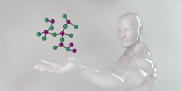 بروتين USAG-1، المعروف أيضًا باسم "Uterine.