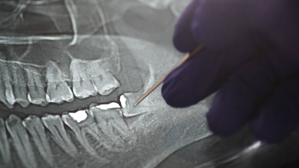 Reasonably Priced Dentist